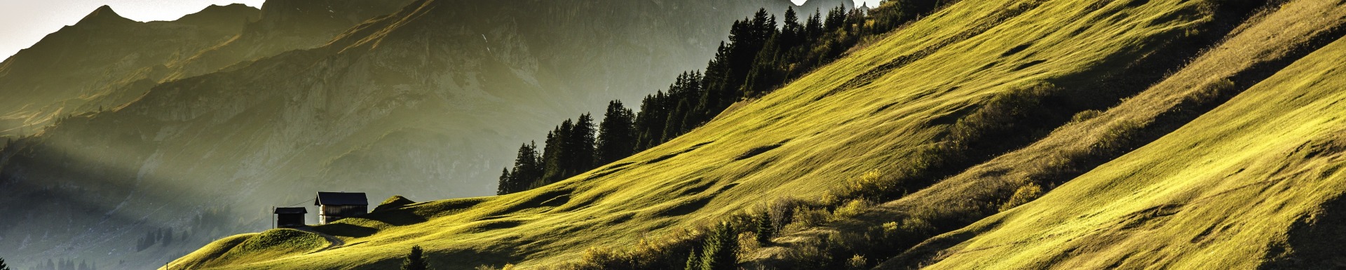 Újabb két évre nyerte el minisztériumi megbízását a VGD Hungary adópartnere