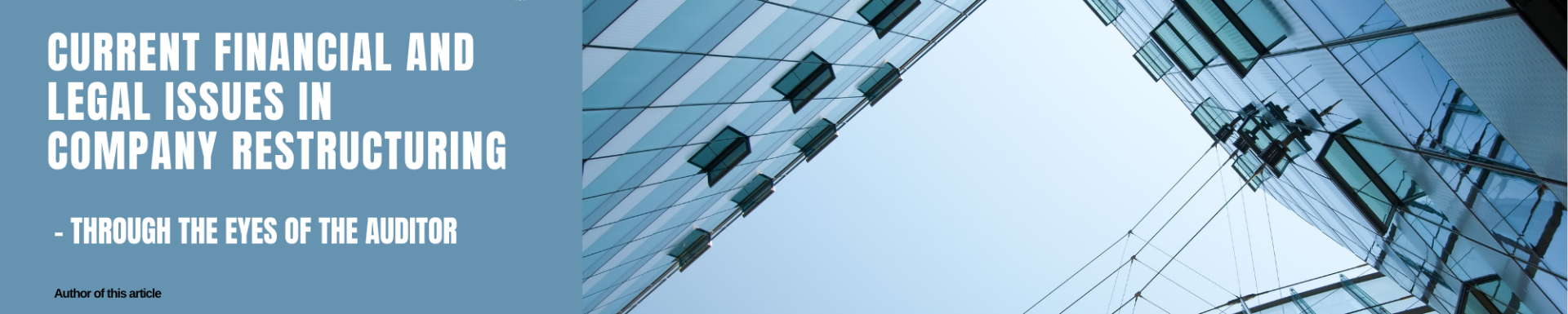 Current financial and legal issues in company restructuring