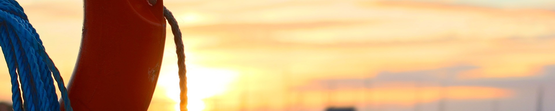 SOCIAL CONTRIBUTION TAX, SOCIAL SECURITY, SIMPLIFIED PUBLIC CHARGE CONTRIBUTION