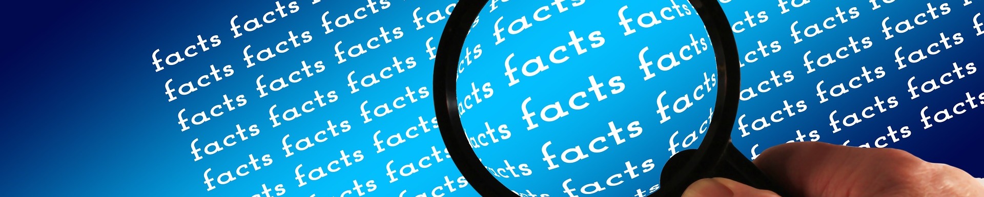 31 December 2022 is the deadline for Country-by-Country Reports (CbCR) and related notifications